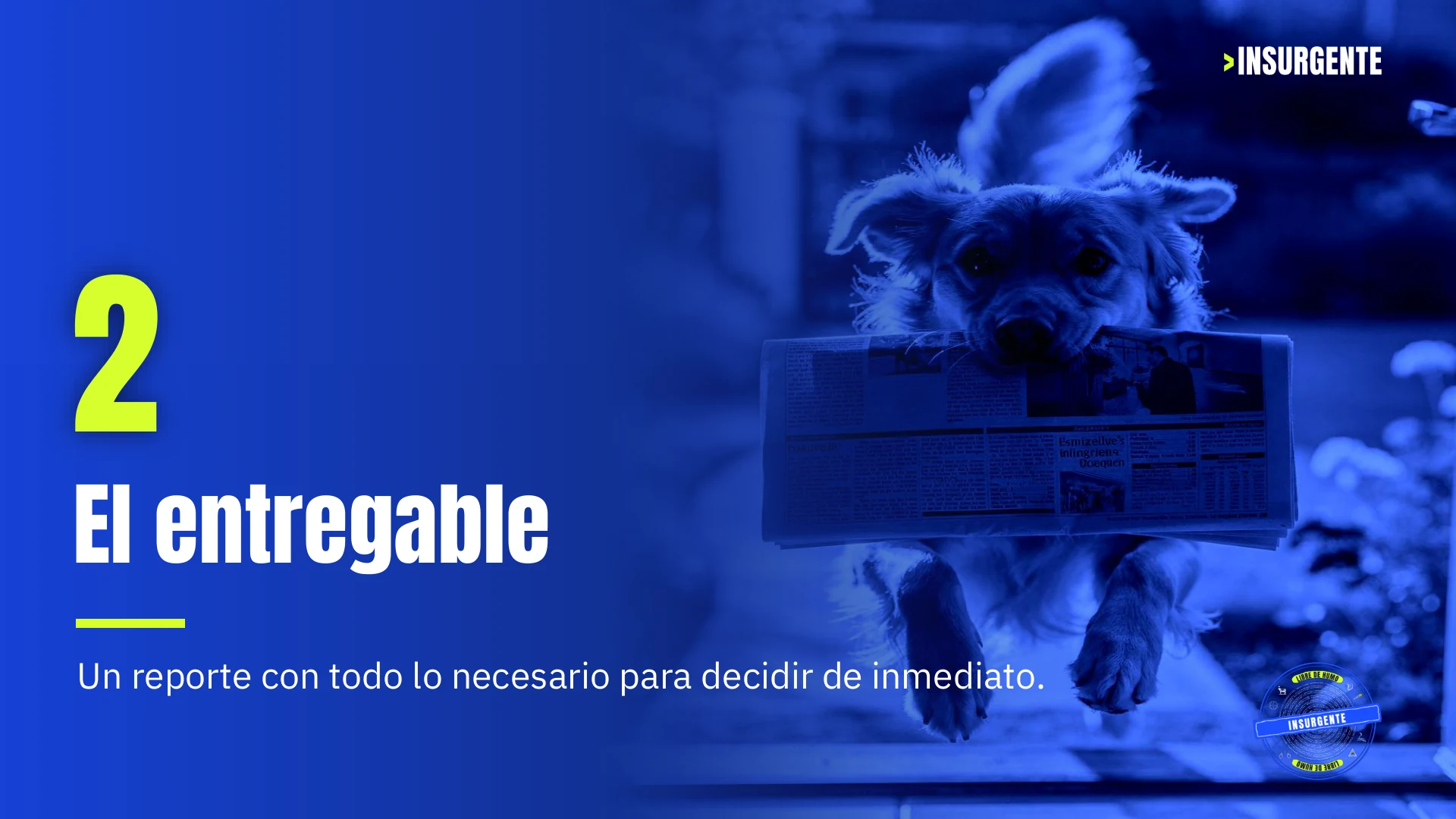 Lámina 9 de las Credenciales de Insurgente